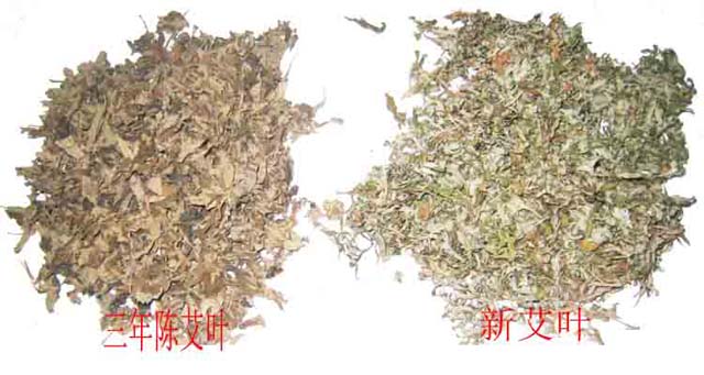 點擊將在新窗口查看全圖 艾灸療法,艾草泡腳,艾草艾葉